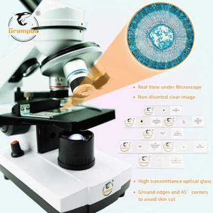 30 Prepared Microscope Slides with Specimens for Kids Students - Animals Plants Insects Microorganism, for Biological Science Lab, Children's Science Education, Homeschool - style: 30PCS Mixed