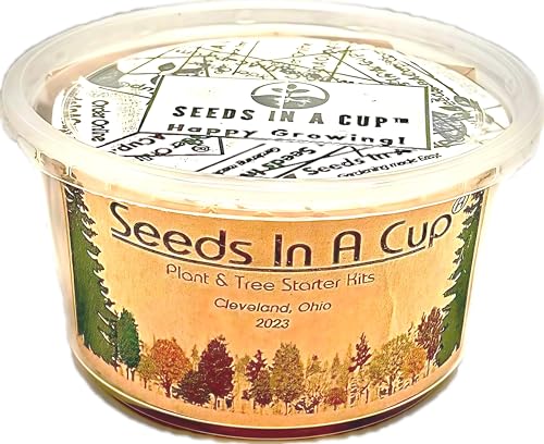 Seeds In A Cup- Crepe Myrtle Tree Grow Kit – Easy Seed Starter with Planter | Indoor & Outdoor Tree Growing Kit for Kids & Adults | Grow Real Crepe Myrtle from Seed - style: Crepe Myrtle (Crape Myrtle)
