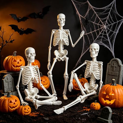 WEEK NINE 17" Mini Human Skeleton Model for Anatomy