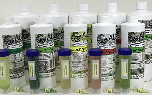 Algae Research Supply Algae Culture Thalassiosira Pseudonana, Perfect for School Science Fairs/Projects, Experiments & Classrooms (1.7mL) - color: Thalassiosira pseudonana, size: 1.7 mL