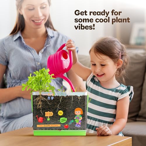 Root Viewer Kit for Kids - Grow Your Own Plant for Boys & Girls Gifts