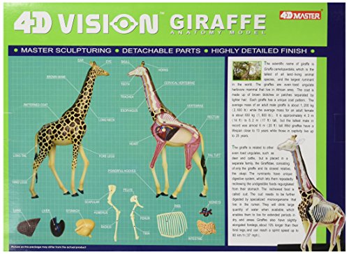 Famemaster 4D Vision Giraffe Anatomy Model, 14.5 inches