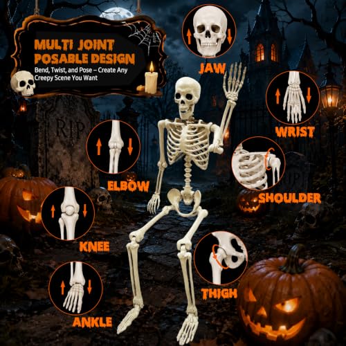 NLShan Life Size Skeleton for Halloween: 5.4ft Human Anatomy Skeleton - color: Off-White