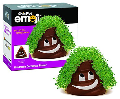 Chia Pet Poopy Emoji Terracotta Planter with Seed Pack - color: Brown