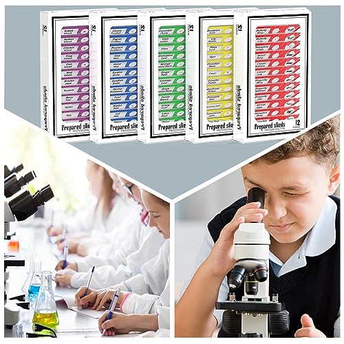 60pcs Plastic Prepared Microscope Slides - size: 60pcs