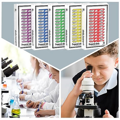 60pcs Plastic Prepared Microscope Slides - size: 60pcs
