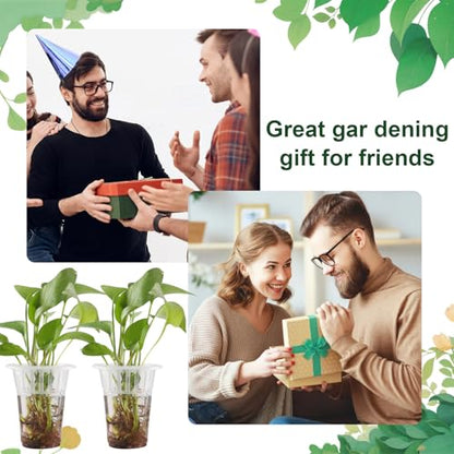 50 Pack Plastic Nursery Pots for Plants Terrarium Plant Propagation Station Tabletop Planting Vase with Hydroponic Baskets 4.5 In Clear Hydroponic Seed Pots for Indoor Plants Home Office Desktop Decor