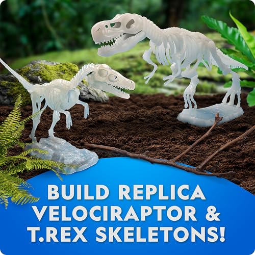 National Geographic Glow-in-the-Dark Dinosaur Skeleton Model Building Kit - style: Dinosaur Skeleton Models Kit