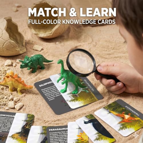 12 Dinosaur Eggs Dig Kit Toys for Kids, Excavation Kit with Magnifier - style: 12 Dinosaur Eggs