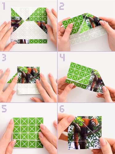 FOLDOLOGY - The Origami Puzzle Game! Brain Teasers for Tweens, Teens & Adults | Travel Game, STEM Toy | Fold the Paper, Complete the Picture | 100 Puzzles | Gift for Ages 10+ - size: 6x6 inches