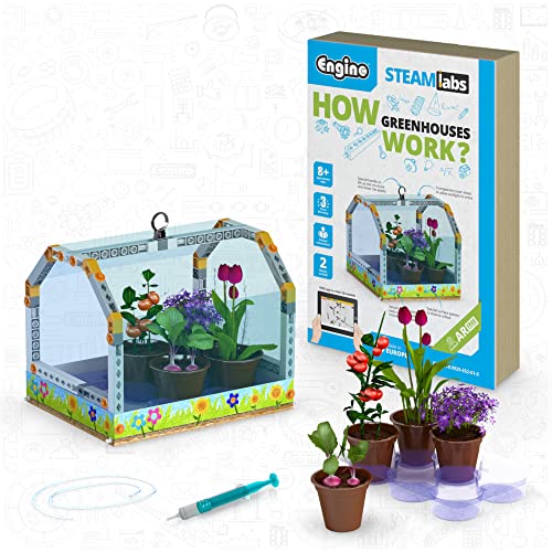 Engino STEAM Labs, How Greenhouses Work, STEAM Toys for Ages 8+, Building Kit, Learning & Education Toys, Art Activities for Girls & Boys, Play & Learn Science - style: How Greenhouses work?