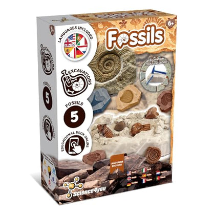 Science4you Fossil Digging Kit for Kids – Archeology, Excavation and Paleotology Kits for Kids, Fossil Dig, Stem Toy and Gift for Boys and Girls Age 6 7 8-12+ - style: 2. Fossil Excavation Kit
