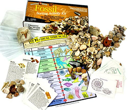 DANCING BEAR Geology Fossil Bundle – 2 STEM Activity Kits: Rock, Mineral & Geodes and Fossil Sorting Activity