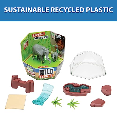 Wild Scenes Elephants' Watering Hole - Grow & Play Kit Environmentally Friendly Wildlife Conservation Toy - Animal Playset for Kids Ages 4 and Up - style: Elephants' Watering Hole