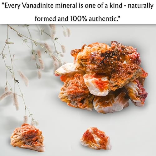 Amazing Gemstone Vanadinite Crystals and Healing Stones Mineral Specimen - Semi Precious Gem Stones - Healing Crystals Geode Clusters for Meditation, Chakra Balance, and Energy (S) - color: Vanadinite, size: Small