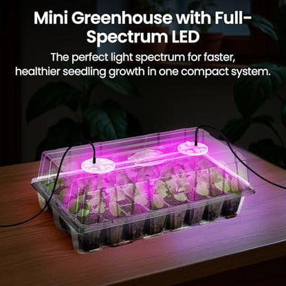 Bonviee Seed Starter Trays with Grow Lights, 80 Cells, 2 Pack - color: Clear, size: 2 Packs