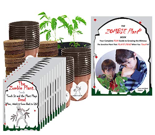 Zombie Plant Classroom or Homeschool Science Fun Planting Party kit - for 30 Students - Grow The Halloween Plant that “Plays Dead When You Touch it! Includes The Zombie Plant Care Book.