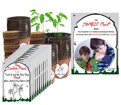 Zombie Plant Classroom or Homeschool Science Fun Planting Party kit - for 30 Students - Grow The Halloween Plant that “Plays Dead When You Touch it! Includes The Zombie Plant Care Book.