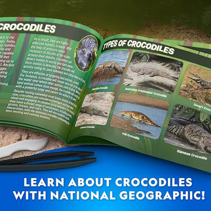 National Geographic Glow in the Dark Crocodile Dissection Lab Kit for Kids - style: Crocodile Dissection Kit