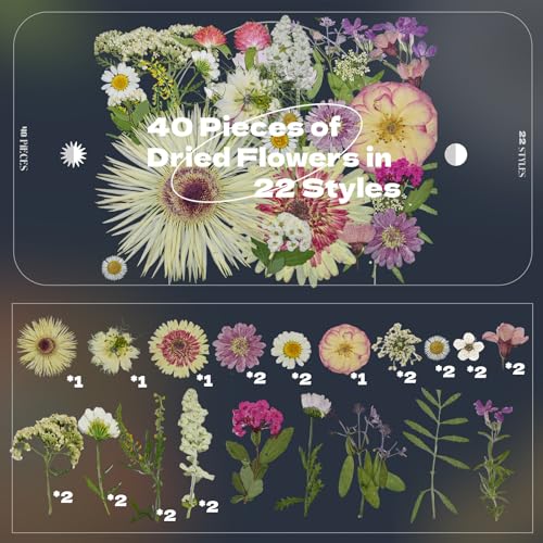 White Dried Pressed Flowers, 40Pcs Real Nature Flowers Set with Tweezers - size: 40 pcs White+Mixed Dried Flowers