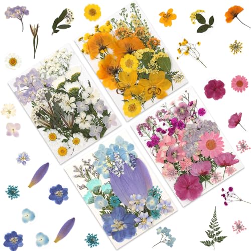 LUXEEASE 4 Color 110P Long Stem Dried Pressed Flowers - color: 4-color Long Stem 110p