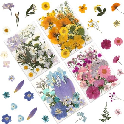 LUXEEASE 4 Color 110P Long Stem Dried Pressed Flowers - color: 4-color Long Stem 110p