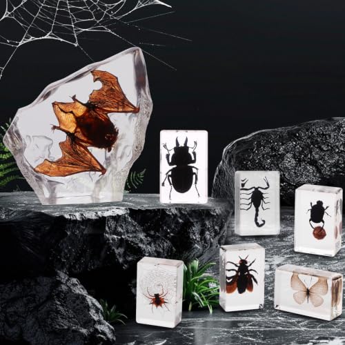 Black Bugs Specimen Resin, Special-Shaped Bat Taxidermy Insects & Beetle for Science Classroom Specimens Supplies, Halloween Christmas Gothic Gifts for Men, Black Oddities Décor(Bat Decor 7) - size: 7 Special Bat+