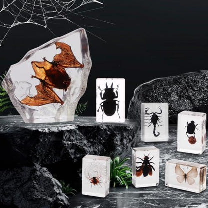 Black Bugs Specimen Resin, Special-Shaped Bat Taxidermy Insects & Beetle for Science Classroom Specimens Supplies, Halloween Christmas Gothic Gifts for Men, Black Oddities Décor(Bat Decor 7) - size: 7 Special Bat+