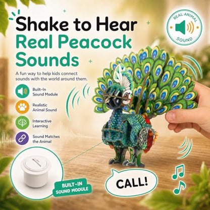MierEdu Build 'N' Sound 3D Puzzle for Kids, Animal Puzzle with Sound Module, Educational STEM Craft Kit, FSC Paper Model Building Toy Gift for Ages 6+ - color: Peacock