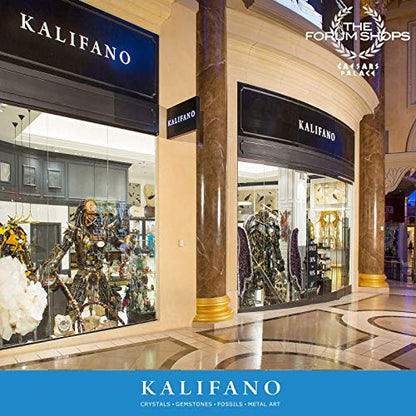 KALIFANO Fossil Collection Kit - Includes a Shark Tooth Fossil, Ammonite Shell Pair, Trilobite, and Orthoceras with Information Cards (Family Owned/Operated)