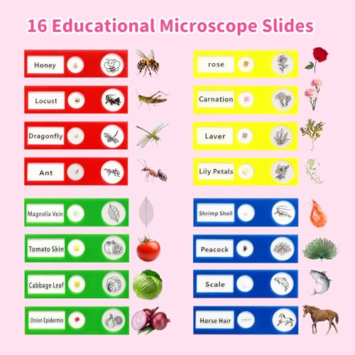 BLACKROOT Microscope for Kids, 2.4" Handheld Digital Pocket Microscope - color: Pink