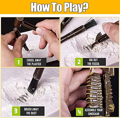 Dig & Discover Dino Stegosaurus Dinosaur Skeleton 3D Fossil Bones Excavation, Science Educational Toy Kit for Kids, Children - color: Stegosaurus