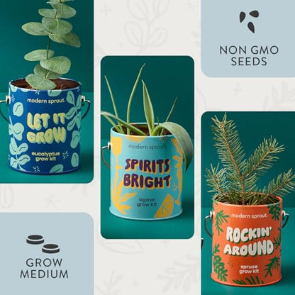 Modern Sprout Complimentary Color Grow Kits - Seed Starter Kit, Pack of 3 - size: Pack of 3
