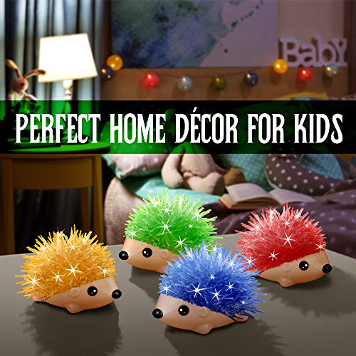 Crystal Growing Kit - 4 Vibrant Hedgehogs Fast 24H, STEM Gift for Kids 6-12 - color: 4 Hedgehog Crystal