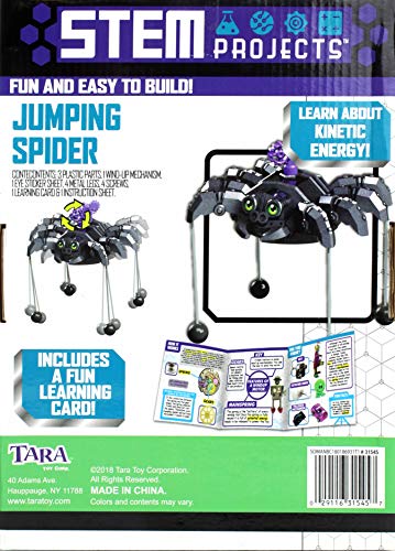 STEM Projects Jumping Spider - color: Jumping Spider