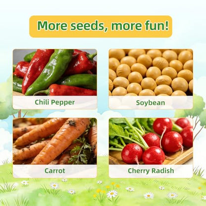 TitaniX Root Viewer Kit for Kids with 4 Seed Varieties, STEM Science Toy & Craft Growing Kits for Boys & Girls, Grow Your Own Plant for Ages 4-8 Birthday Gifts for Boy,4, 5, 6, 7, 8, Year Old