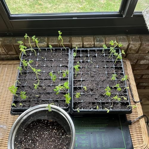 3-Pack Seed Starter Trays with 5" Tall Humidity Domes & 54-Cell Deep Trays - size: 3p Trays+Domes+54 Cells