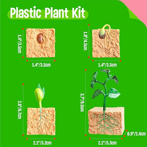 15 Plant Life Circle Flashcards with 4 Plastic Figurines-Seed to Plant, Plants Introduction Card Plants Growth Details for Nature Lovers & Adults, Montessori Toy for Kids - style: Plant