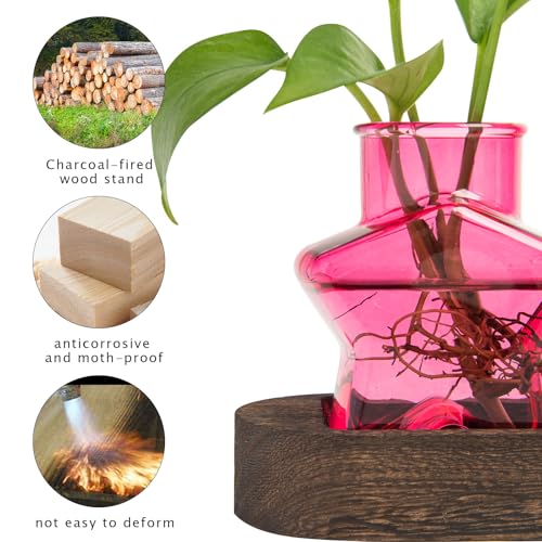 XXXFLOWER Plant Propagation Station with Wooden Stand 3 Pink Star Jars - color: Pink