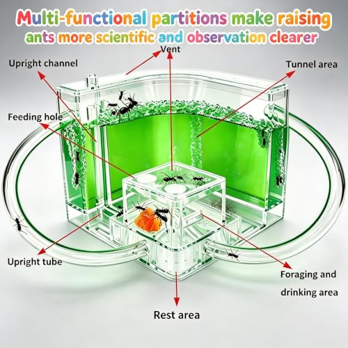 EXBEPE Ant Farm for Kids Safety and Environment Gel Ant Colony Ecosystem Terrarium, Ant Habitat Science Learning Kit(with No Ant)… - color: Green
