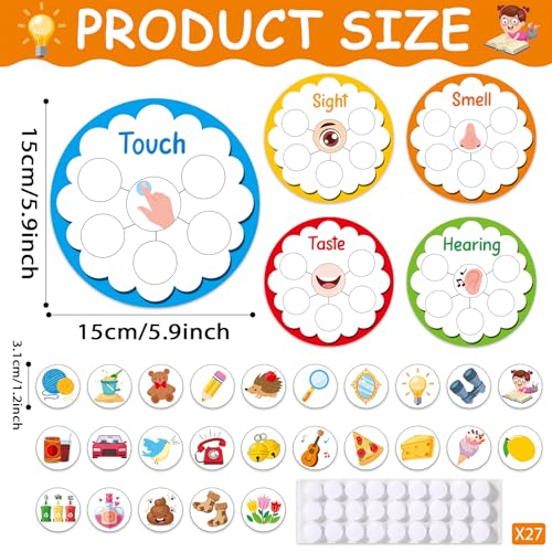 5 Senses Learning Activity for Kids Educational Teacher Supplies Five Senses Sorting Cards Learning Game Develop Fine Motor Skills for Toddlers Preschoolers and Kindergarteners Homeschool Must Haves