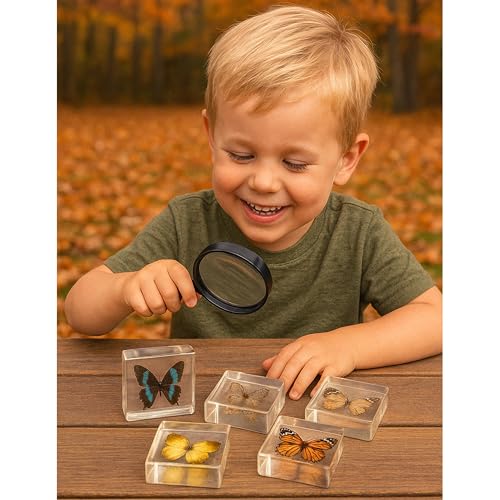 Educational Encased Butterfly Specimen Set – 4 Real Butterflies in Resin with ID Cards for Classroom Science, Nature Study, Entomology (Ages 6+) - style: Butterflies