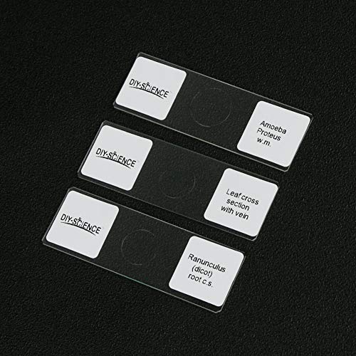 Prepared Microscope Slides Set for Apologia Biology, Pack of 16pcs Specimens Specifically for Biology Course (Apologia Slides) - style: for Apologia Biology Microscope Slides