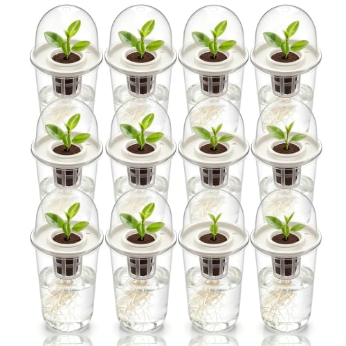 12 Pack Clear Hydroponic Nursery Pots with Humidity Dome for Seed Starting - color: Transparent-12 Pack