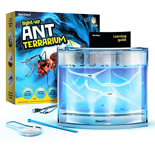 Dan&Darci Light-up Ant Farm Terrarium Kit for Kids – LED Habitat for Live Ants with Nutrient Rich Gel - Watch Them Dig Their Own Tunnels - Learning Science Toys, Experiment Gift for Boys & Girls
