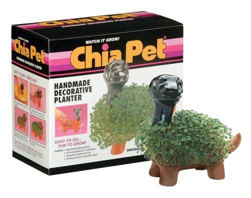 Chia Pet Dinosaur Collectable with Seed Pack, Decorative Pottery Planter, Easy to Do and Fun to Grow, Novelty Gift, Perfect for Any Occasion - style: Dinosaur