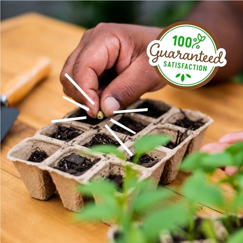 Back to the Roots Grow Kit Refill Pack - size: 3 inches x 4.125 inches x 10 inches, style: Seed Starting Trays 5x10ct
