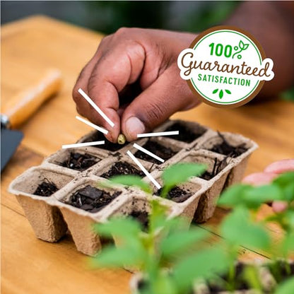 Back to the Roots Grow Kit Refill Pack - size: 3 inches x 4.125 inches x 10 inches, style: Seed Starting Trays 5x10ct