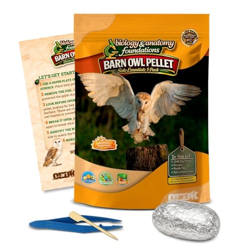 Barn Owl Pellets for Dissection, Solo Essentials Kit, Large 1-Pack by OBDK - size: Jumbo (2.5 inches and Larger)