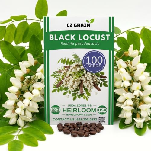 100 Black Locust Tree Seeds for Planting – Robinia pseudoacacia, Fast Growing Flowering Tree, White Bloom Clusters, Cold Hardy Outdoor Tree for Landscaping Backyard (100 Seeds)